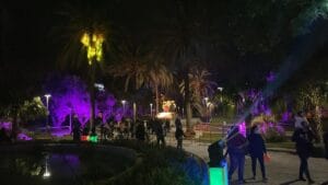 Iluminación de fachadas,locales y espacios naturales